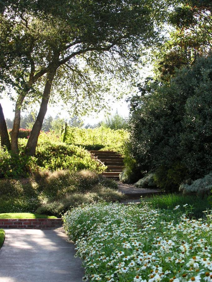 Hotel Madrona Manor à Healdsburg Extérieur photo